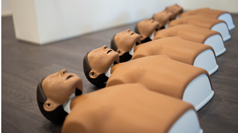 laerdal little anne stackable update
