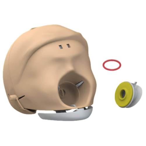 Laerdal Little Anne Head Skull Complete incl. Jaw (light) 