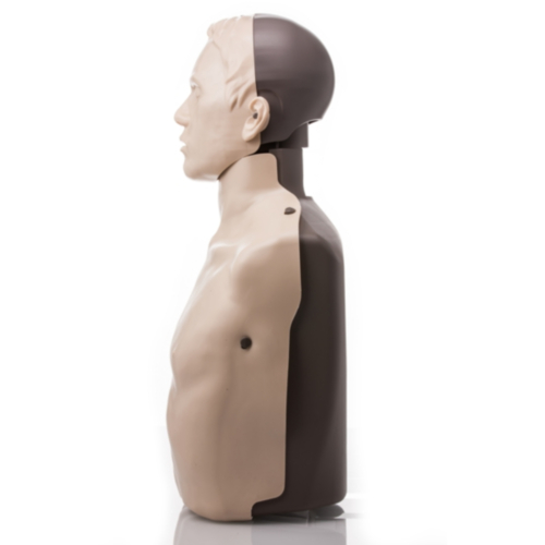 Brayden LIGHTS Manikin with WHITE LED lighting - 1257