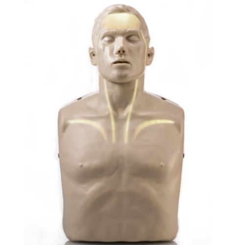 Brayden PRO Manikin With Bluetooth App Support and WHITE LED lighting - 10970