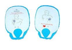Physio-Control Lifepak 500/1000 Training Replacement Pads - 5593